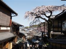 数年ぶりの旅行とか