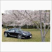 休もう！ケイマンＲで千葉の桜へ