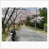 お花見ライド！赤岩大神 @  ...