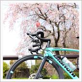 桜を求めてポタリング