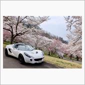 令和五年四月信州の春第三弾と ...