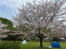 舎人公園まで花見に行ってきた〜
