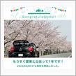愛車と出会って1年！