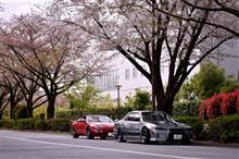 桜&#215;車両撮影ごっこ