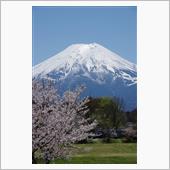 史跡と富士山を見に。