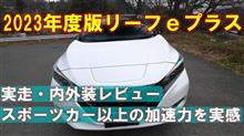 リーフe+マニアックレビュー【youtube】