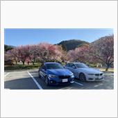 4月のドライブコースは 桜  ...