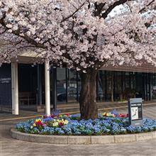 2023年3～4月　GO TO TOHOKU　茨城～宮城編🎵