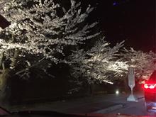 桜咲く