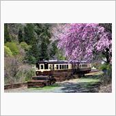 ４月９日　わたらせ渓谷鉄道の春