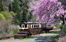 ４月９日　わたらせ渓谷鉄道の春