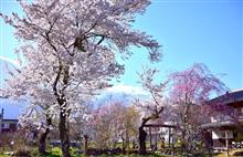 　彩鮮やか春の信州 　初日 (^^♪
