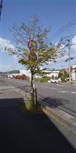 何時までこの状態が続く？