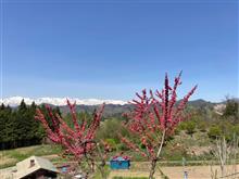 北信濃の山々と花を愛でるドライブへ 北信濃の山々と花を愛でるドライブへ