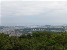 散歩記録）森林散歩、横浜にて(^^♪