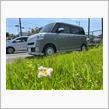 慣らし運転（帰省）