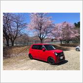 N坊で桜🌸パトロール🚗💨