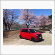 N坊で桜🌸パトロール🚗💨