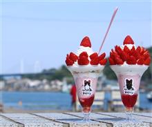 ゴールデンな火曜日❣️
