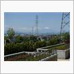 連休４日目も、散歩日和で・・・♪