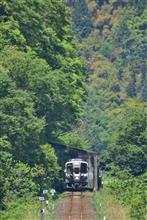 新緑の若桜鉄道