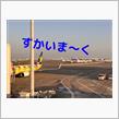 飛行機のシートって昔からそうなの⁉️