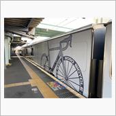 今年初のロングライド🚴🏻
