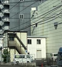 強風が吹き続ければ・・・・・