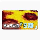 今日から「魚類」。
