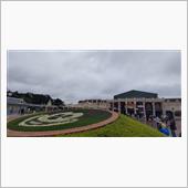 何年かぶりの東京ディズニーラ ...