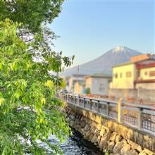 流鏑馬は見ることができませんでしたが・・・流鏑馬祭り2023🐎⛩