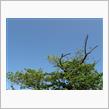 今日は日本晴れ(^o^)