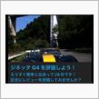 ginetta