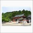 3年ぶりの丹沢大山（下社まで）