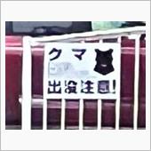 クマ出るよ、クマ。
