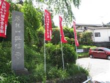 関東十八代官家　設楽家の菩提寺