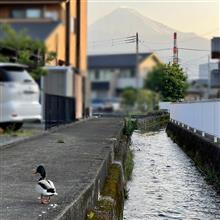 今月も 大阪出張へ 行けましたが・・・😅