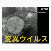 ワクチンが変異種を生んでいる