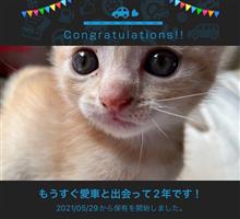 愛車と出会って2年！