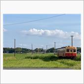 小湊鐵道全駅訪問してみた🚴