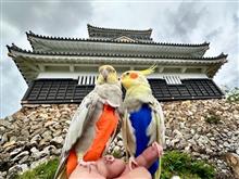 岐阜城🏯 
