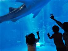 のとじま水族館なう