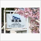 2023桜巡り福島編⑤　会津 ...