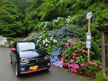「越知道路」確認走行と紫陽花ツーリング 「越知道路」確認走行と紫陽花ツーリング