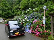 ｢越知道路｣確認走行と紫陽花ツーリング