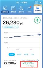 PayPayポイント