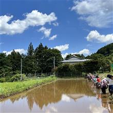 相模原市青根で、田植えをしてきた！