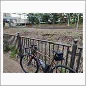 週末はｗ