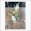久々のモーモー倶楽部本店