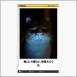 茨城県民に失礼しますやろが！  知らんけど